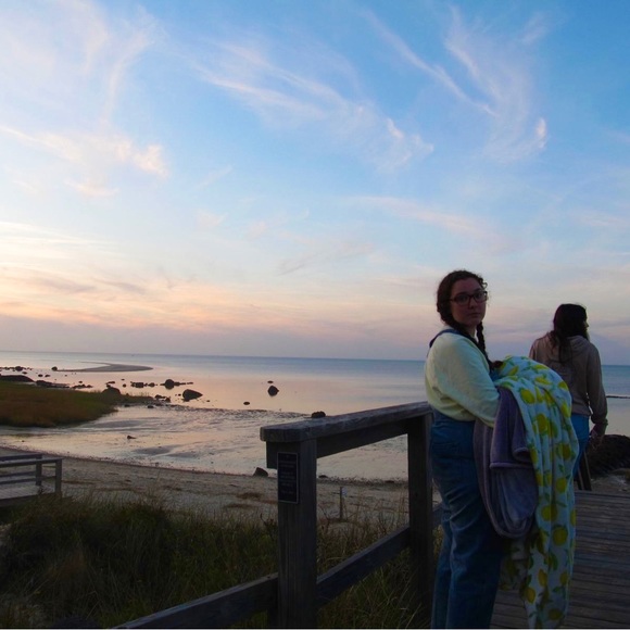 Meet your Posher, Sophie - Picture 1 of 1